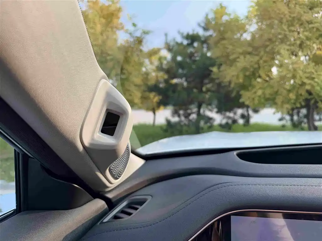 GAC Motor Trumpchi Xiangwang S9 — миниатюра 19