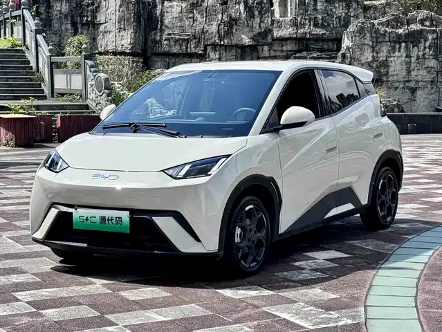 2024 BYD Seagull