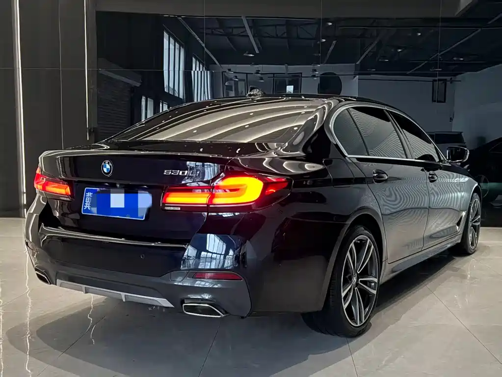 BMW 5 SERIES