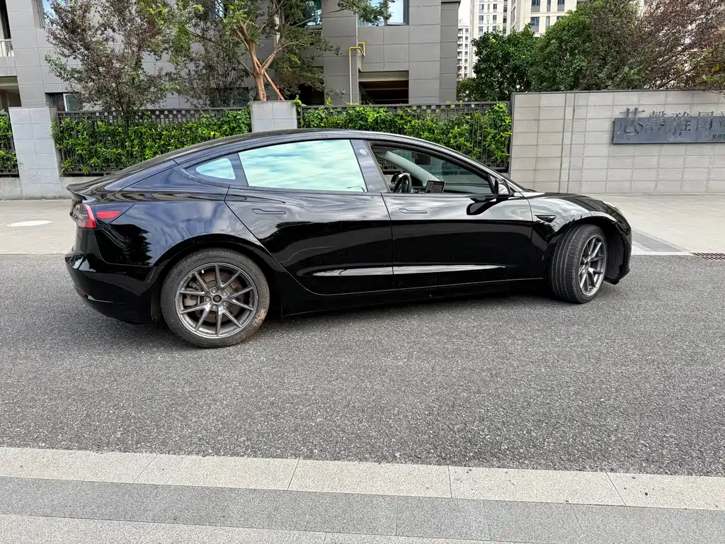 Tesla Model 3 — миниатюра 3