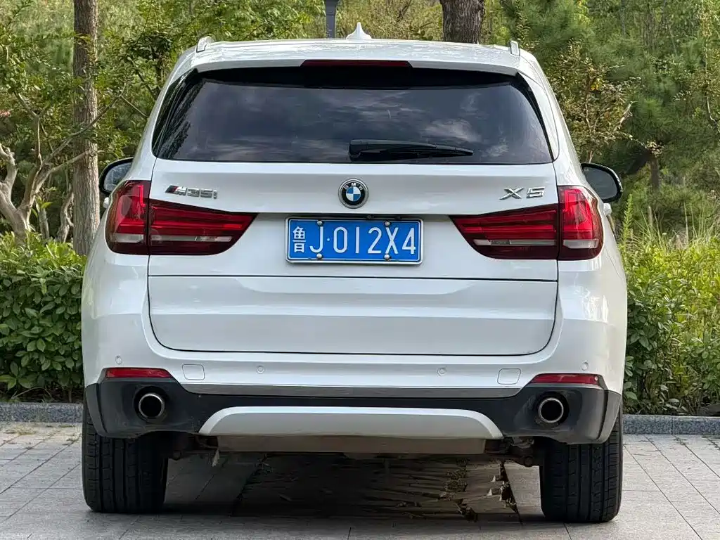 BMW X5 (Import) — миниатюра 8