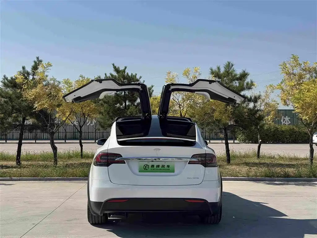 Tesla Model X — миниатюра 18