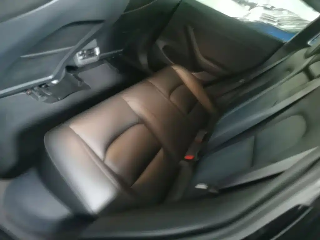 Tesla Model 3 — миниатюра 17
