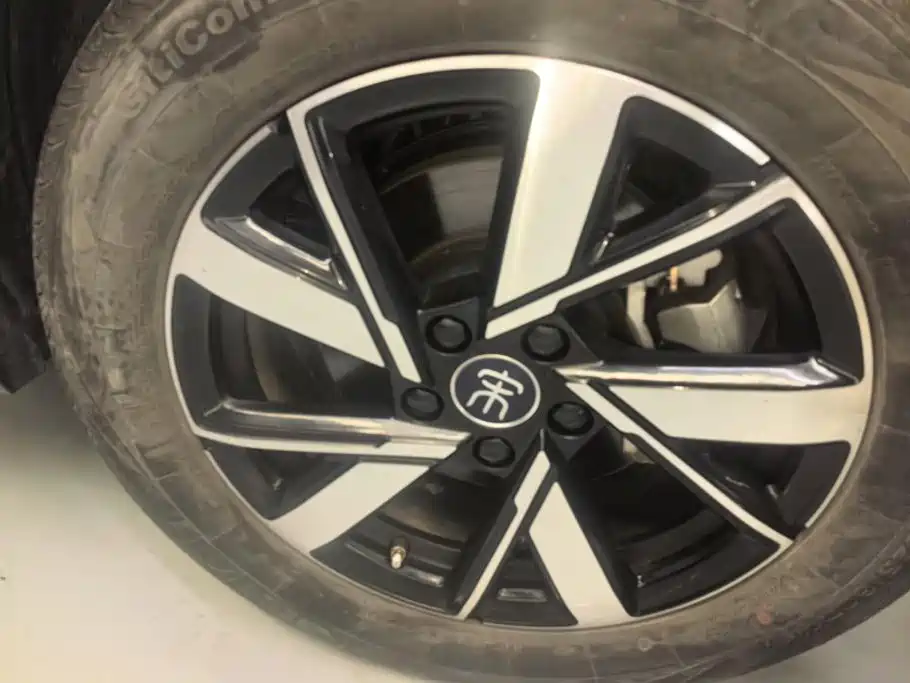 BYD Pro New Energy — миниатюра 6