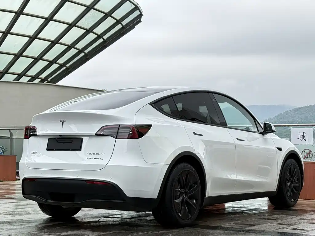Tesla Model Y — миниатюра 14