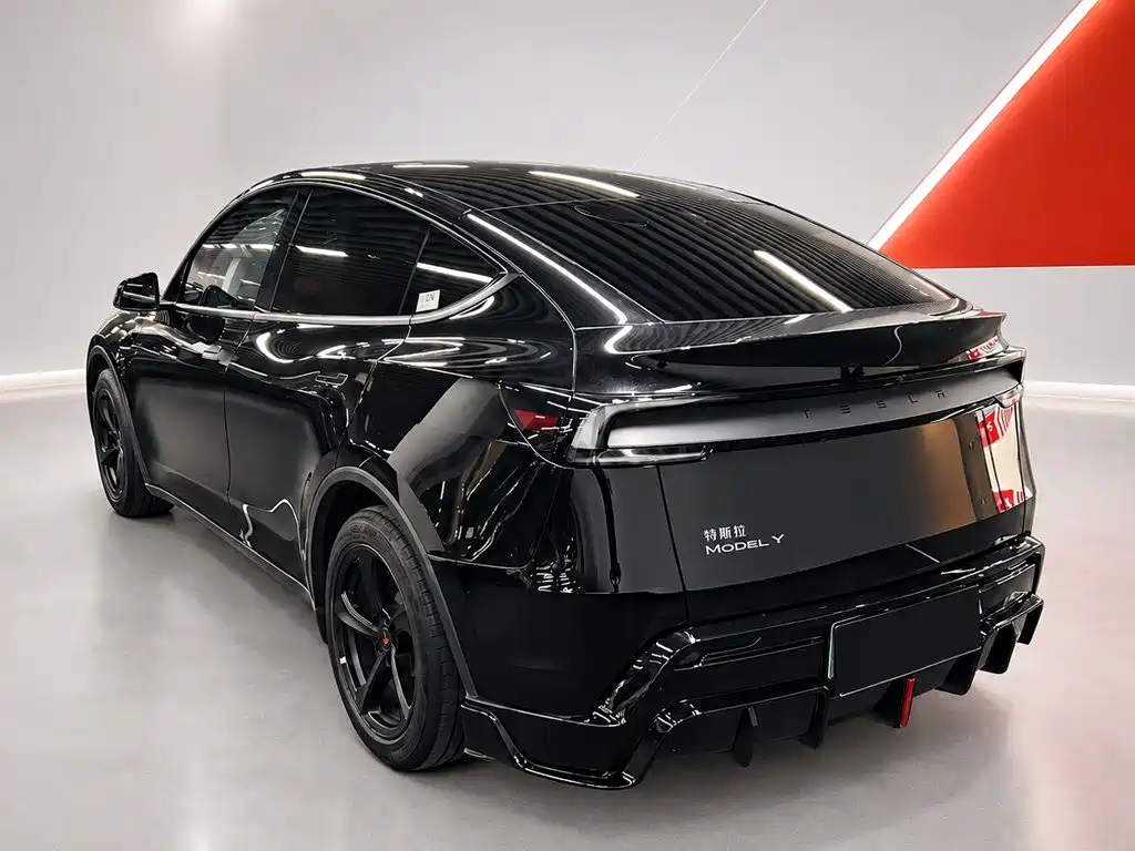 Tesla Model Y — миниатюра 6