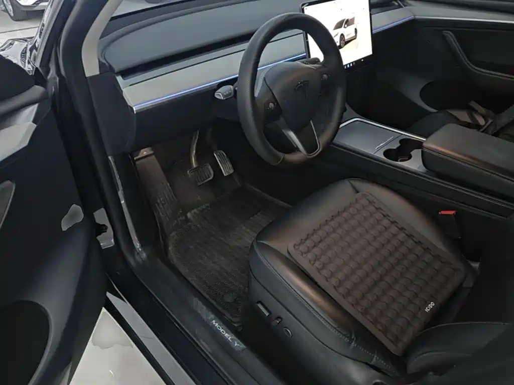 Tesla Model Y — миниатюра 15
