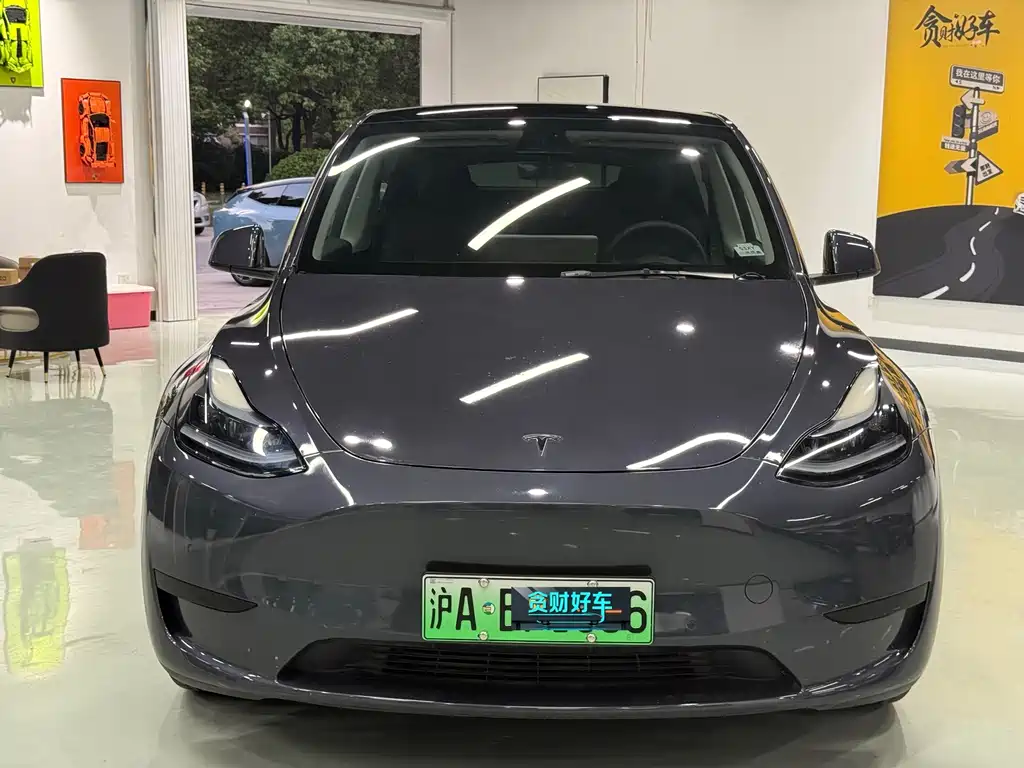 Tesla Model Y — миниатюра 2
