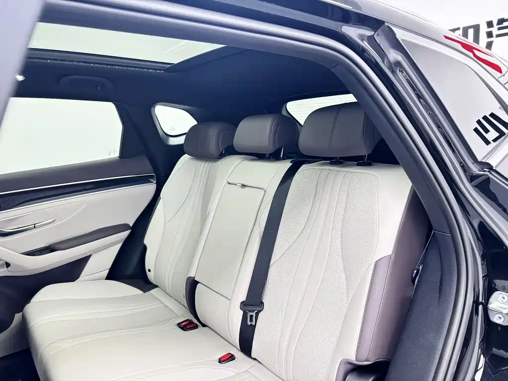 BYD SONGJIANG NEW ENERGY