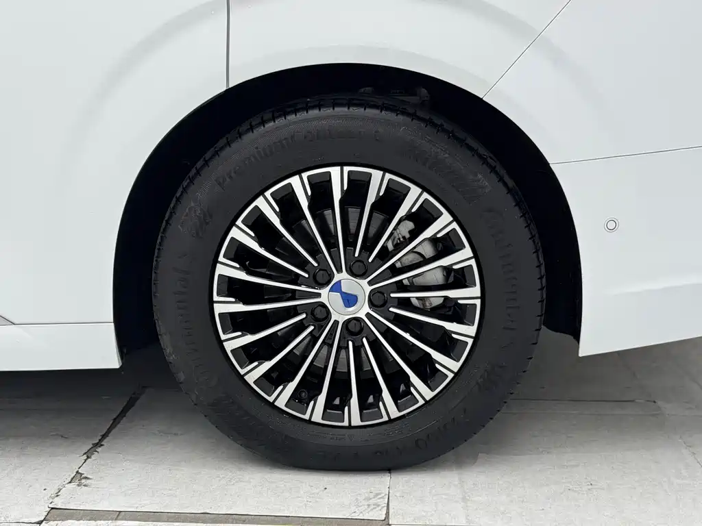 Denza Denza D9 — миниатюра 12