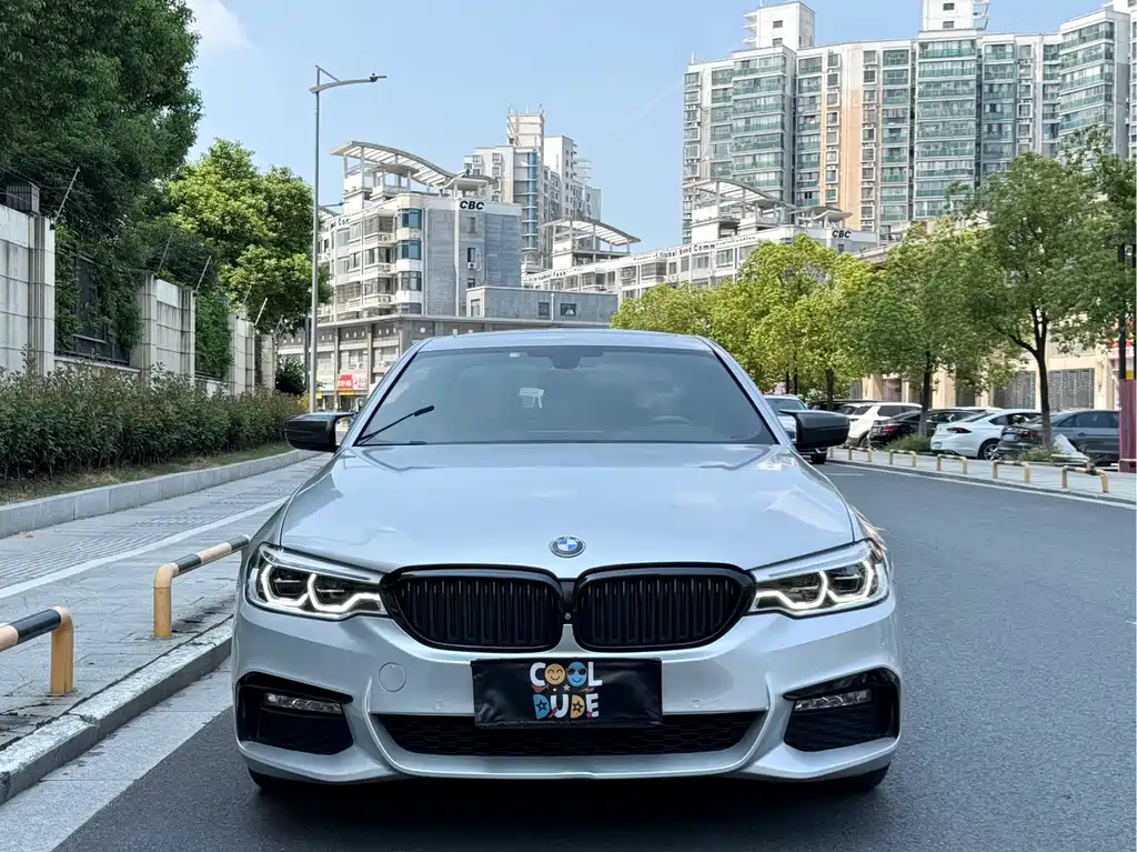 BMW 5 Series 5 2018 530Li Premium M Sport