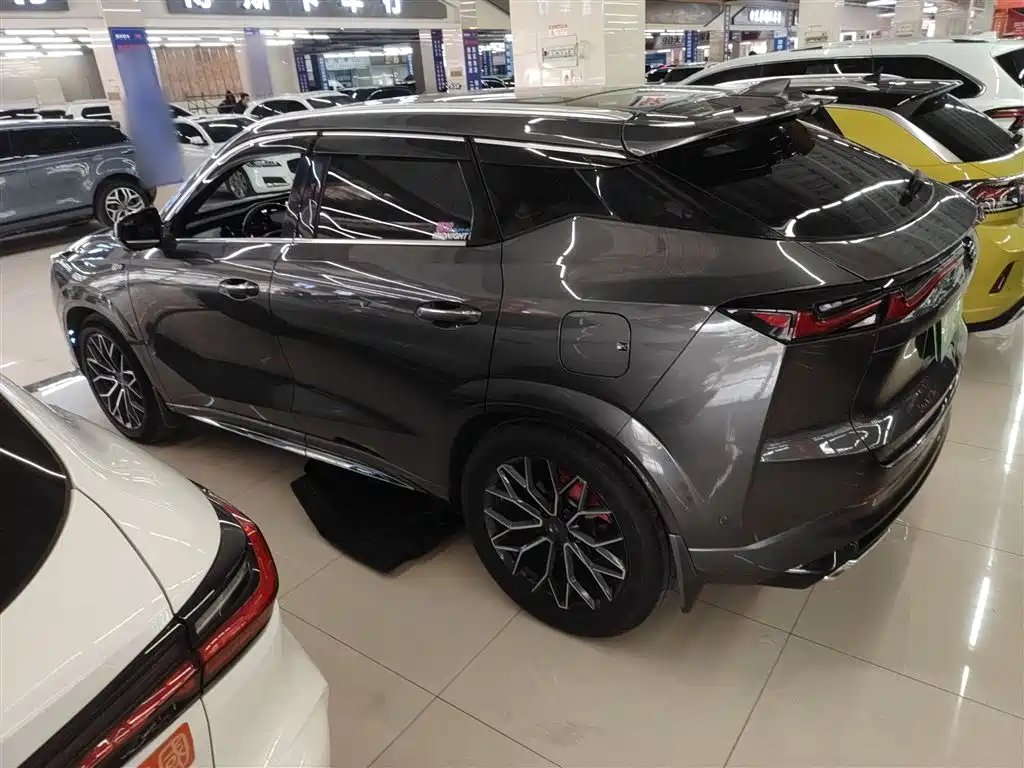 Oshan Oushang Z6 New Energy — миниатюра 21