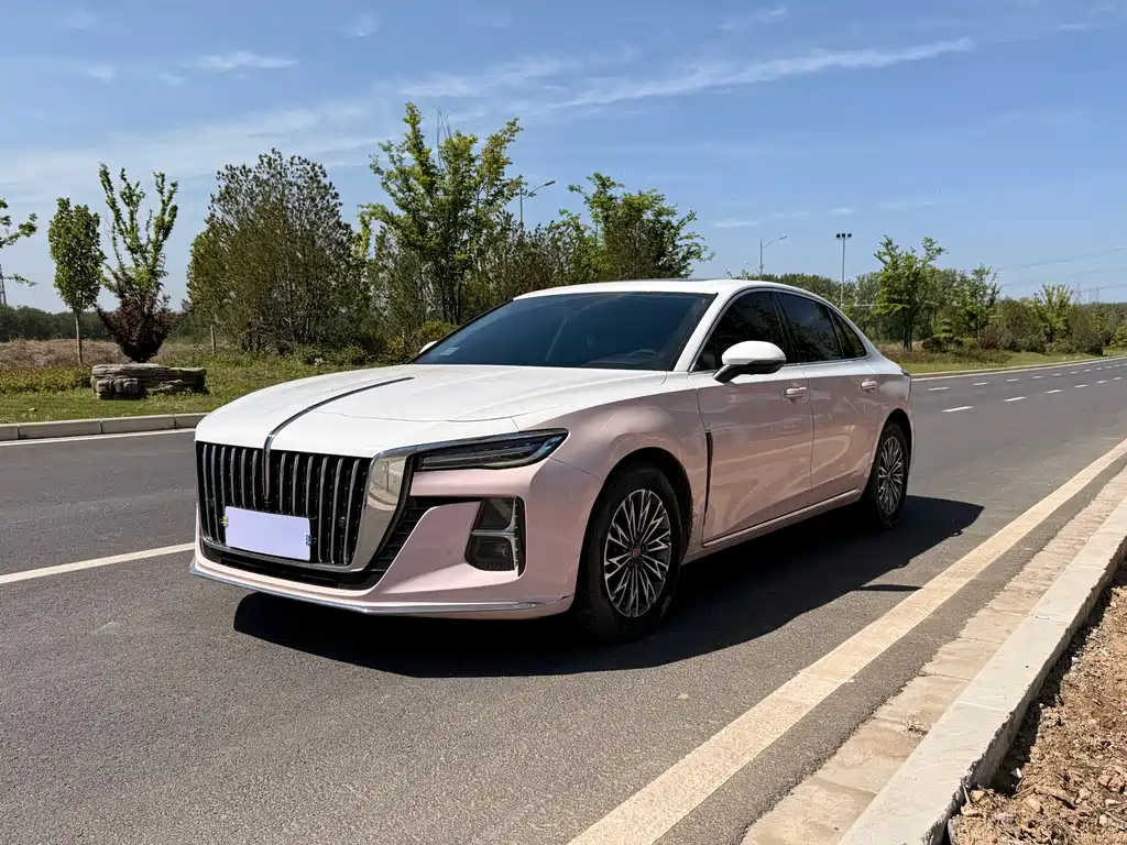 Hongqi Hongqi H5 2024