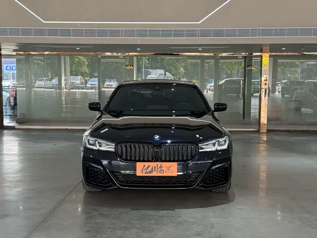 BMW 5 Series (Import) — миниатюра 2