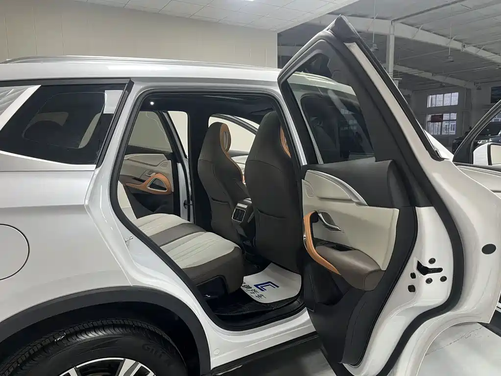 BYD Pro New Energy — миниатюра 14