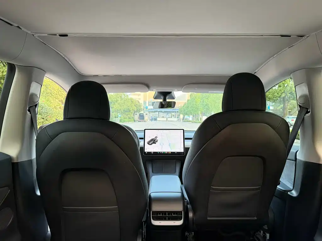 Tesla Model Y — миниатюра 6
