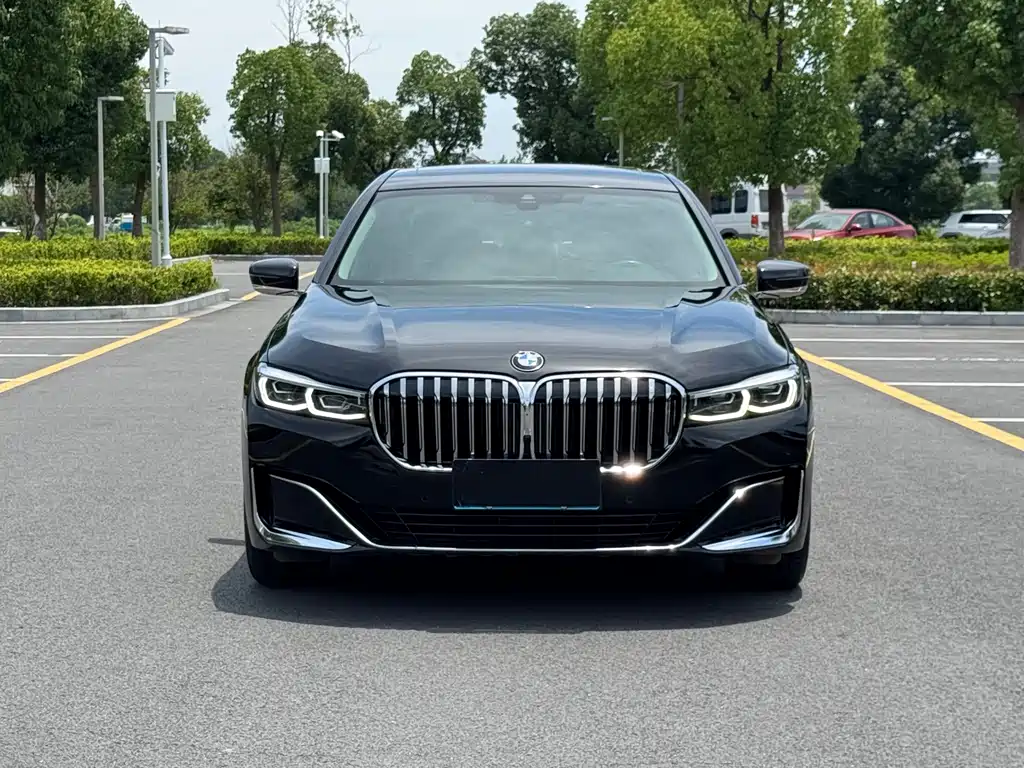 BMW 7 Series 7 2019 730Li Luxury