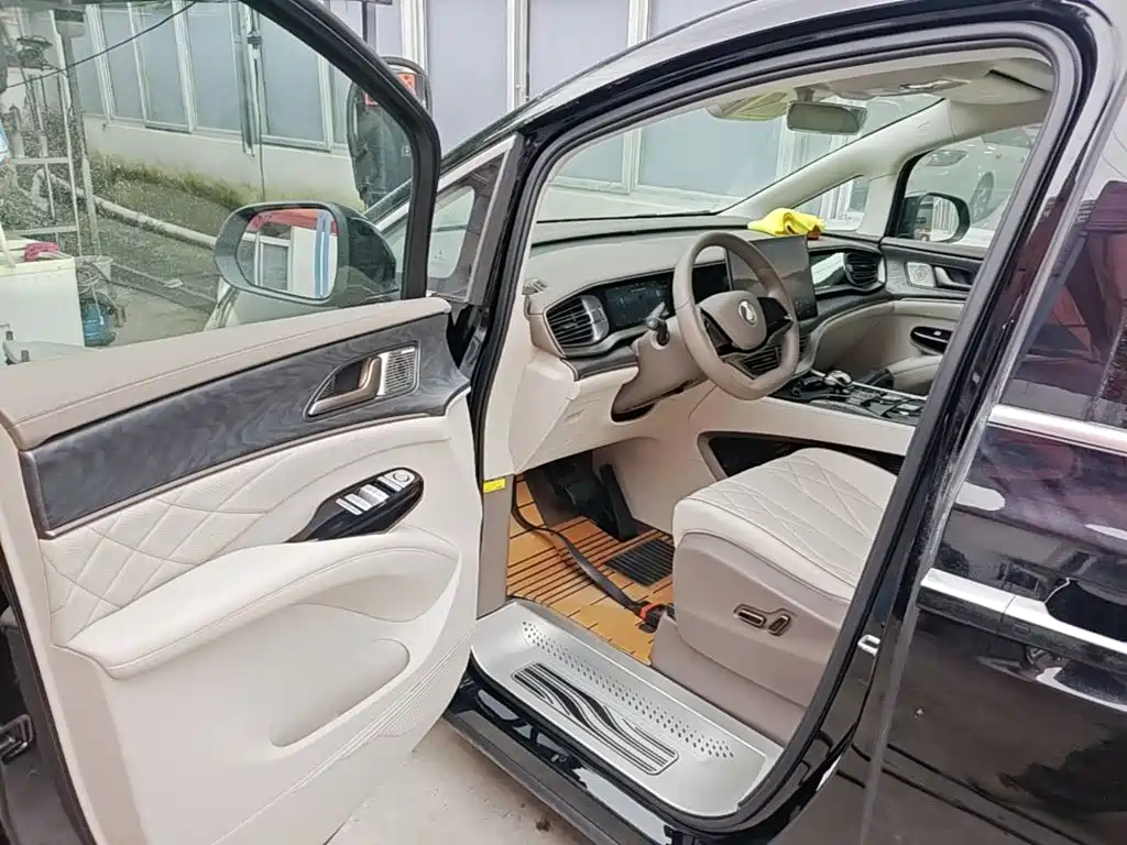 Denza Denza D9 — миниатюра 16
