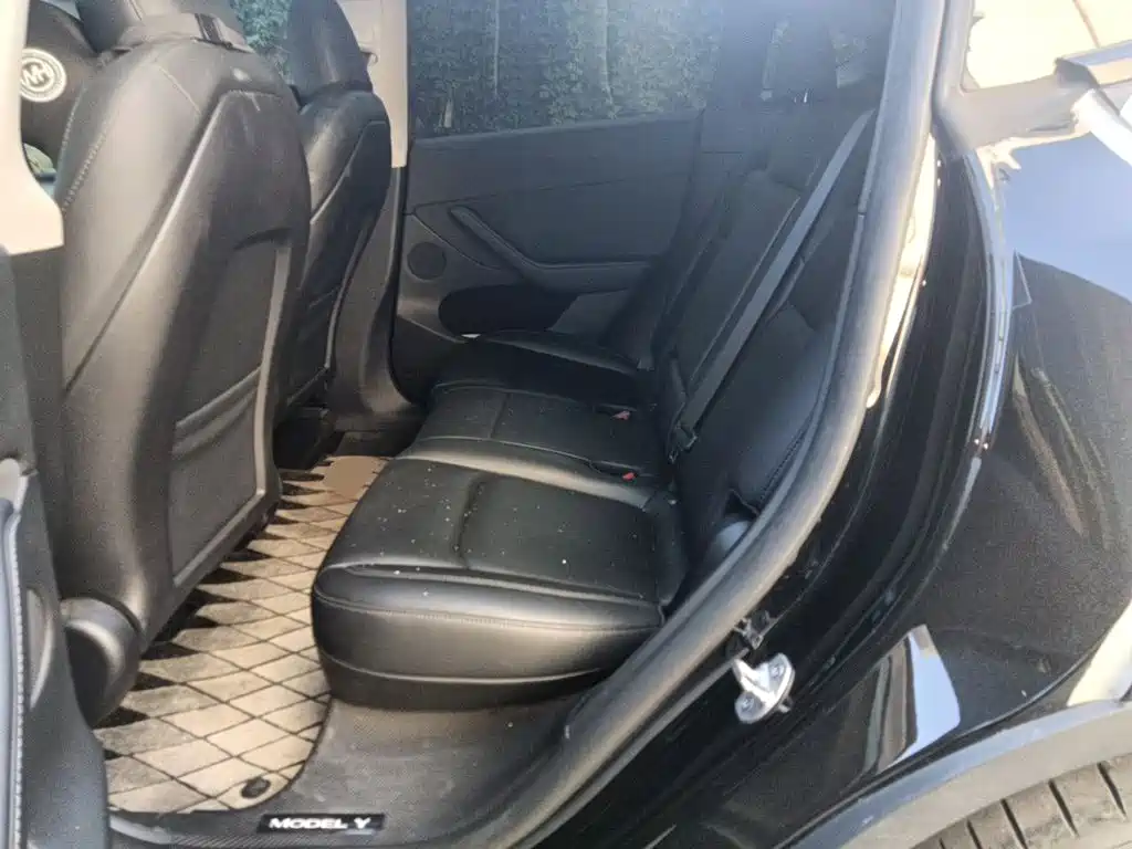 Tesla Model Y — миниатюра 13