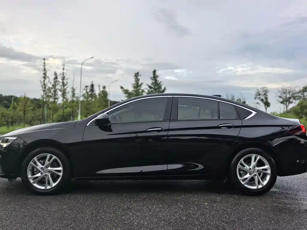 Buick Regal — миниатюра 16