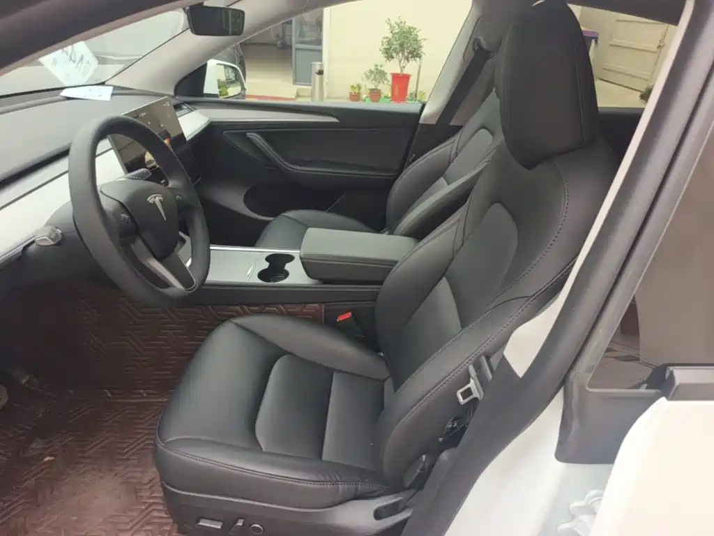 Tesla Model Y — миниатюра 15