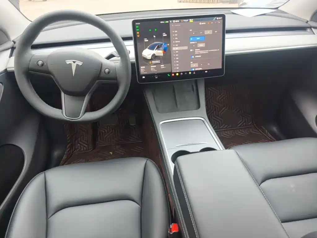 Tesla Model Y — миниатюра 10
