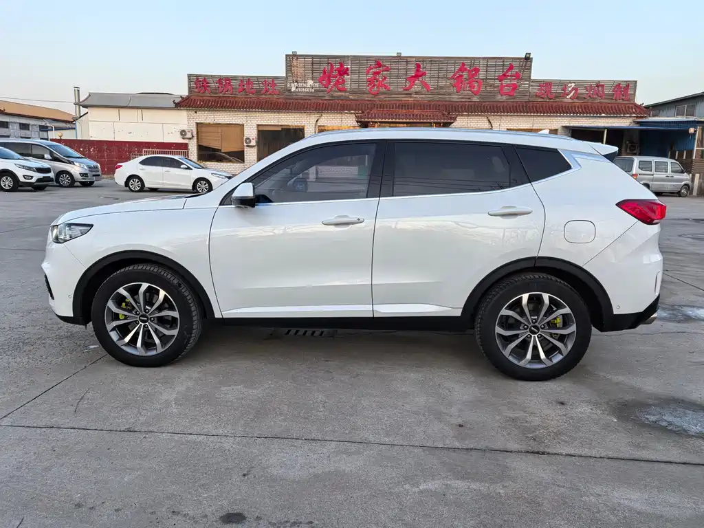 WEI PAI WEI BRAND VV6