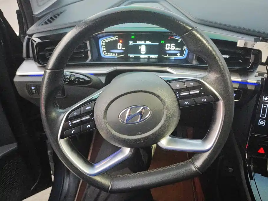 Hyundai Custo — миниатюра 15