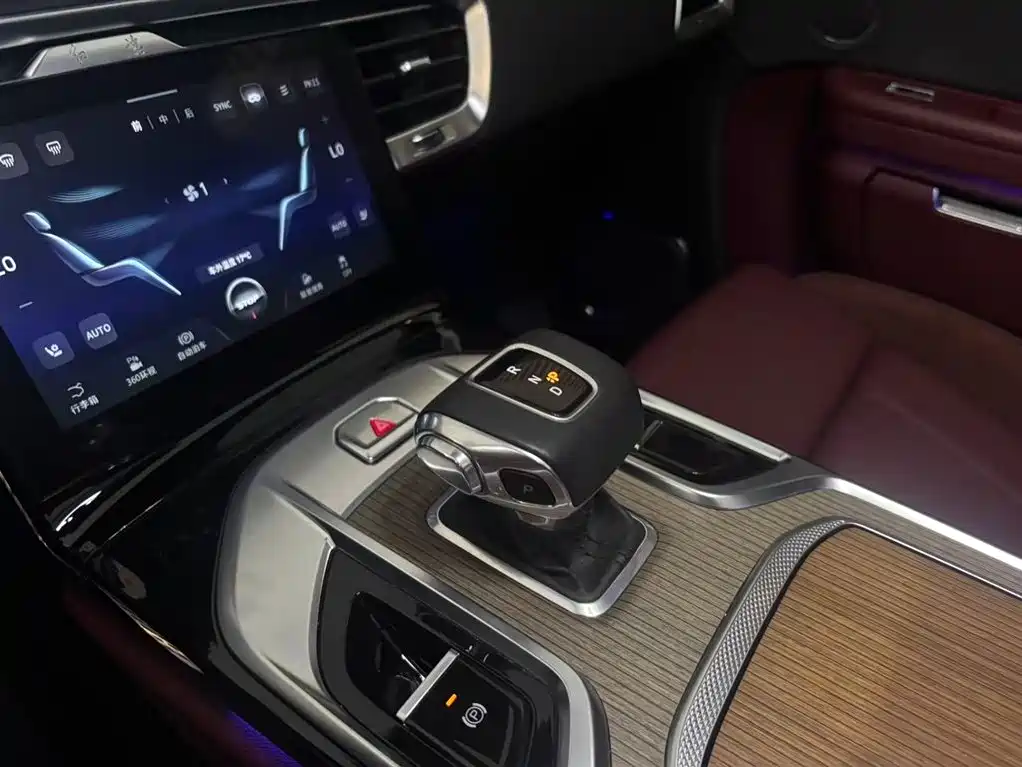 Hongqi E-HS9 2022 690km мест