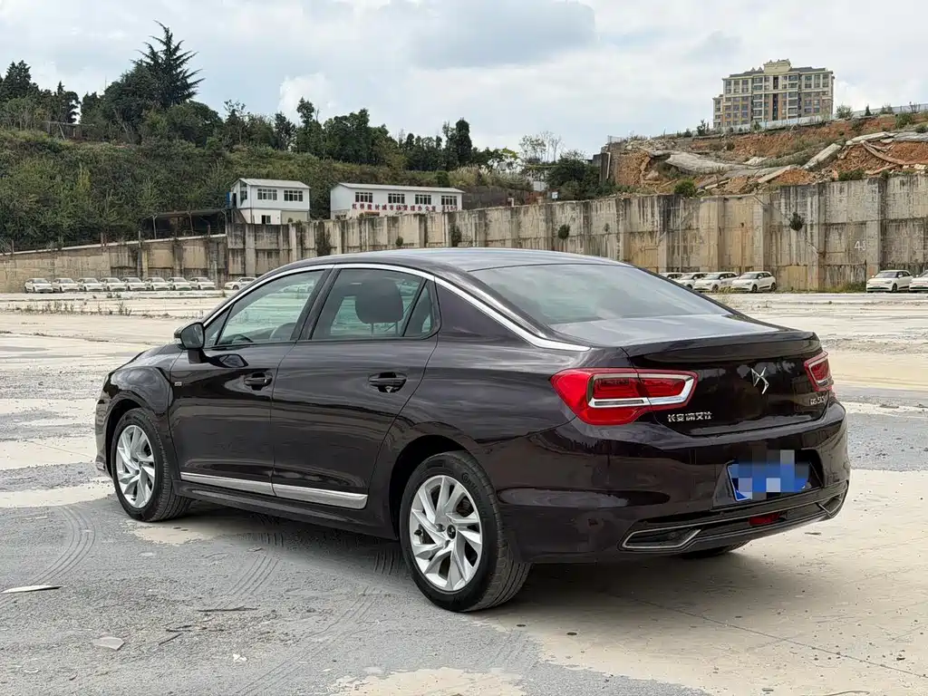 DS DS 5LS — миниатюра 5