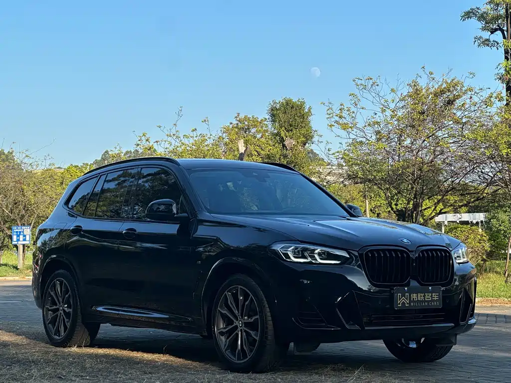 BMW X3 — миниатюра 3