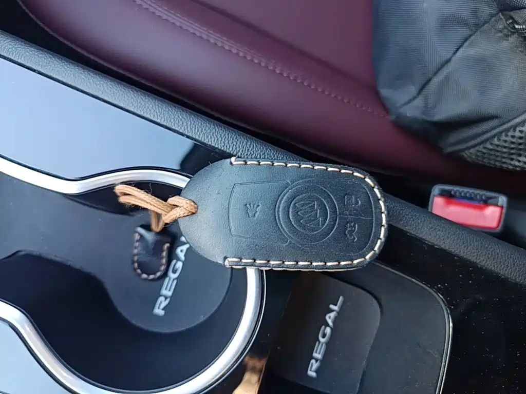 Buick Regal — миниатюра 9
