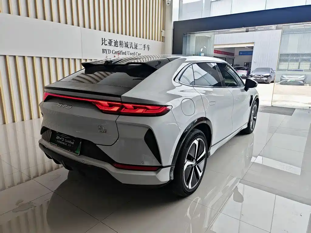 BYD L EV — миниатюра 7