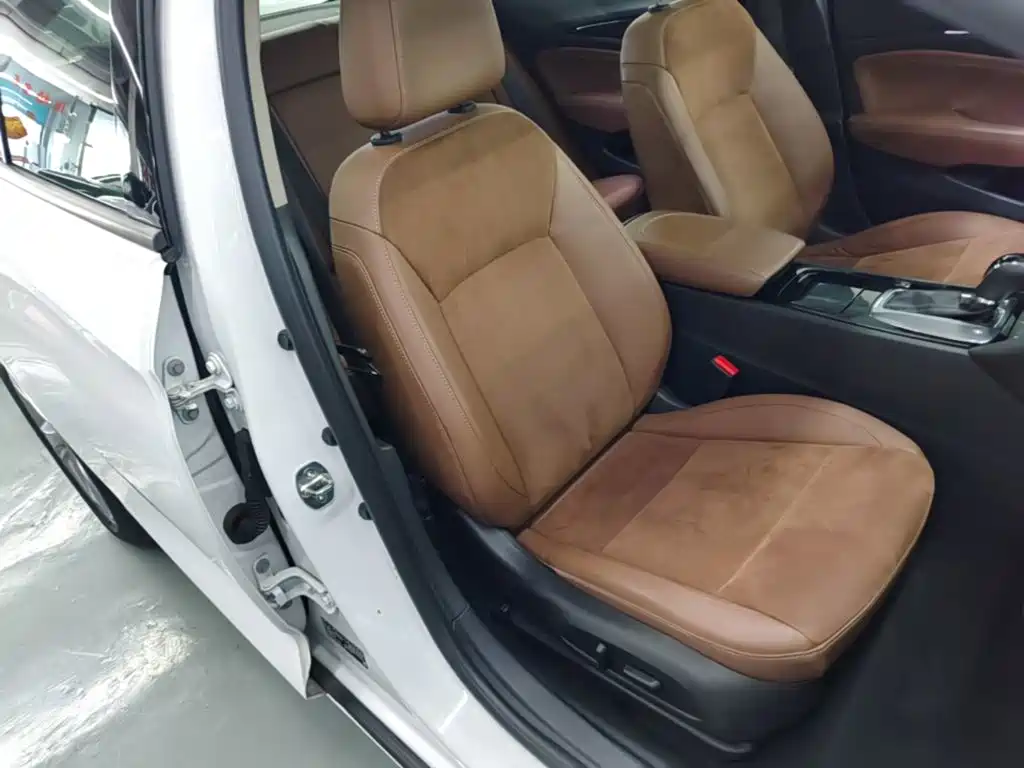 Buick Regal — миниатюра 25