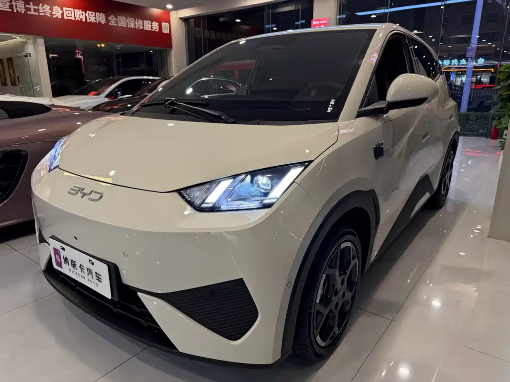 BYD Seagull