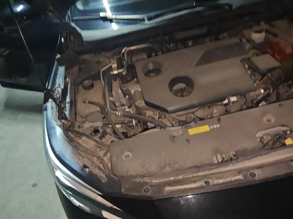 Nissan Sylphy — миниатюра 21