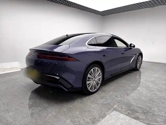 Denza Denza Z9 — миниатюра 12