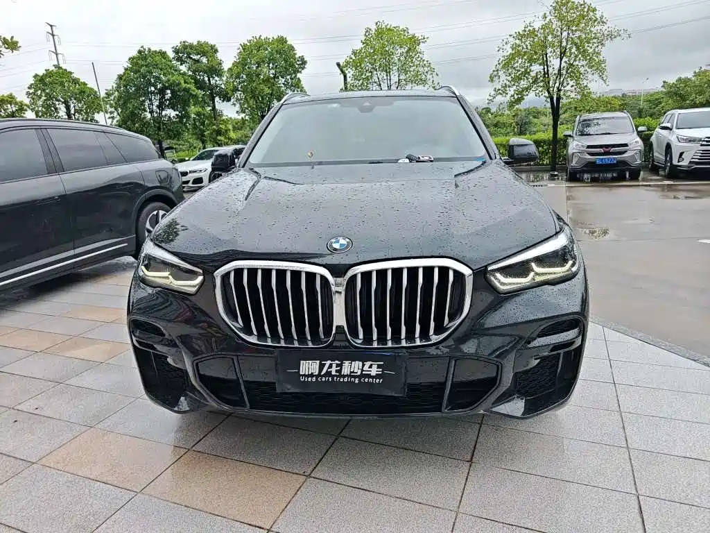 BMW X5 2022 xDrive30i M Sport