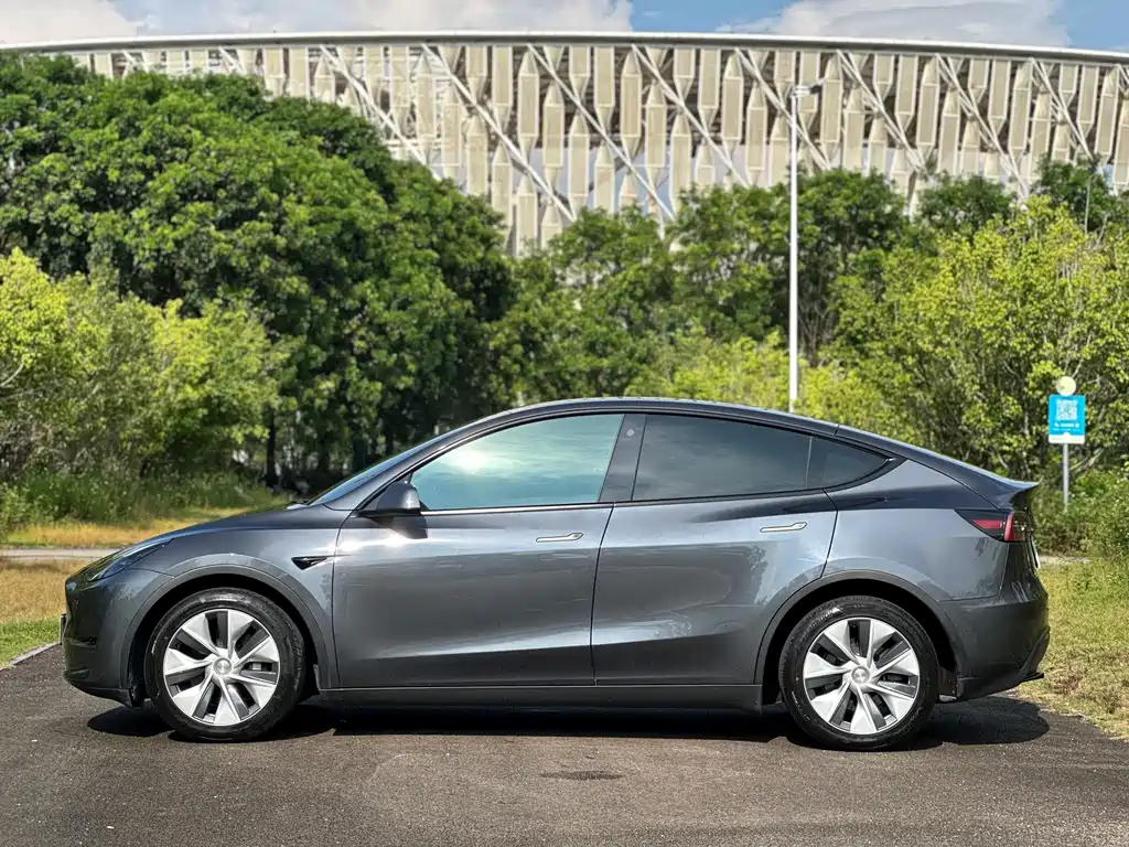 Tesla Model Y — миниатюра 6
