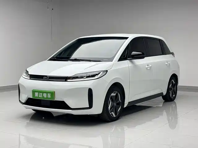 BYD D1 2023