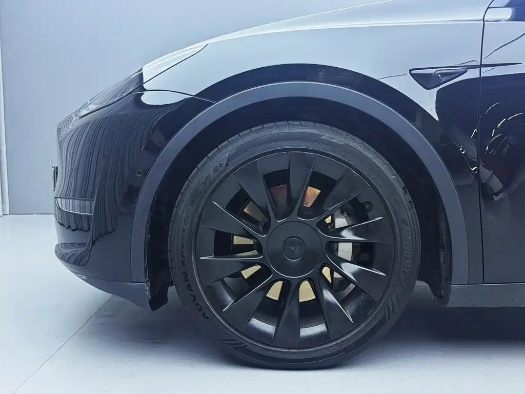 Tesla Model Y — миниатюра 7