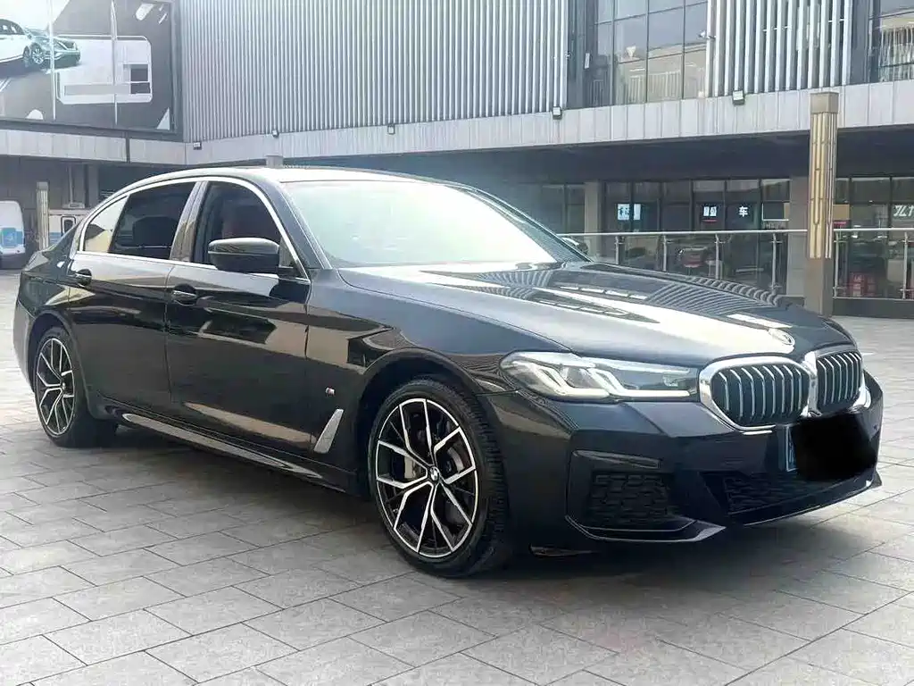 BMW 5 Series — миниатюра 3