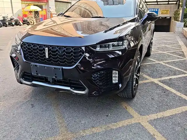 wei-pai wei-brand-vv7