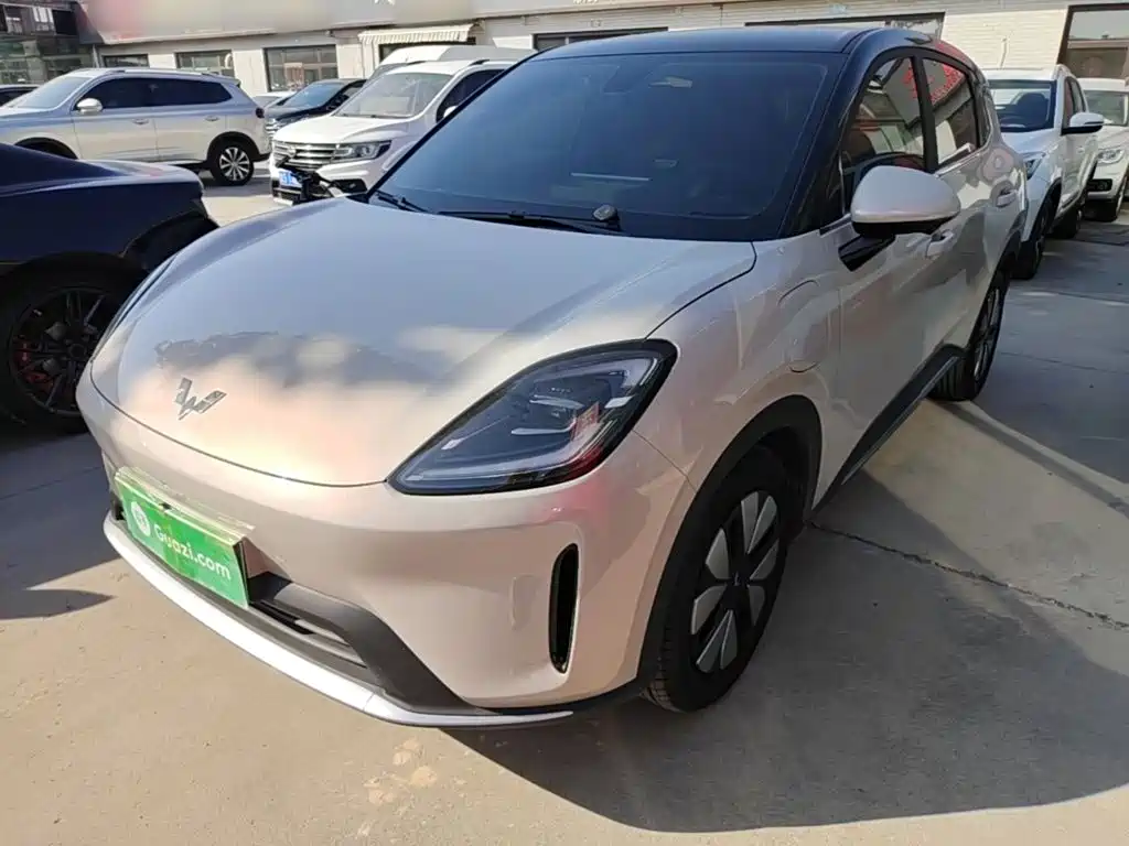 Wuling BinguoS