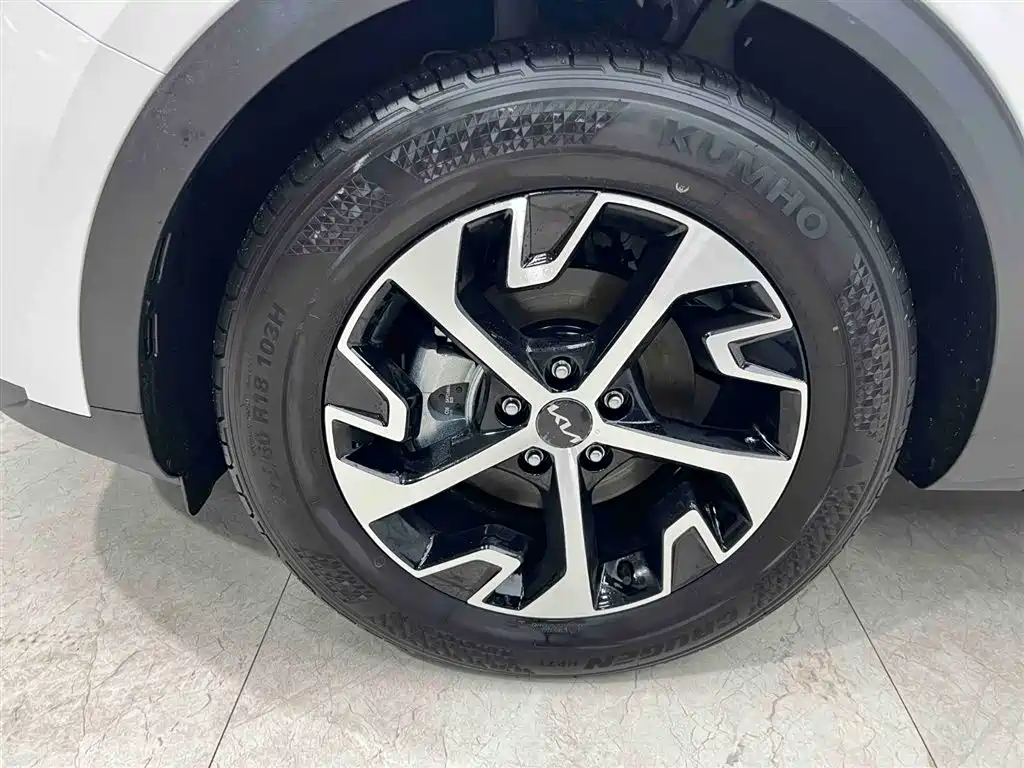 KIA LION PLATINUM EXPANDS THE WORLD