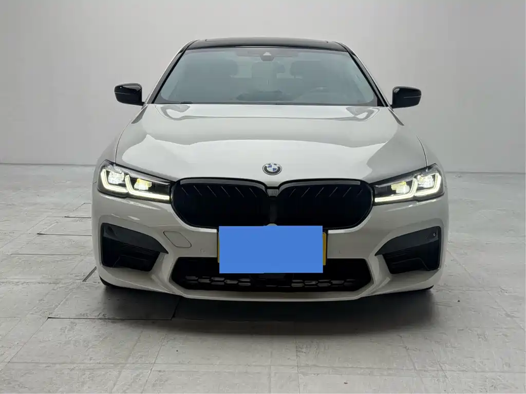 BMW 5 Series New Energy — миниатюра 2