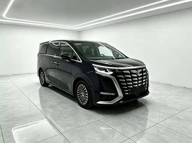 2023 Denza D9