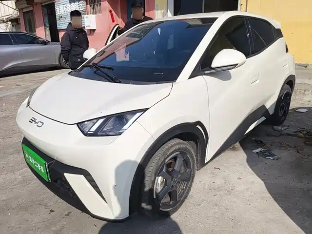 BYD Seagull