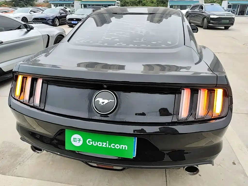 Ford Mustang — миниатюра 6
