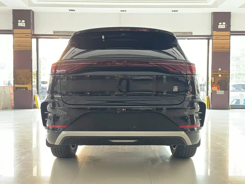 BYD Tang New Energy — миниатюра 6